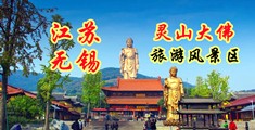 日日色屄黑丝江苏无锡灵山大佛旅游风景区