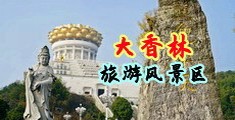 免费不卡2018中文版字幕中国浙江-绍兴大香林旅游风景区